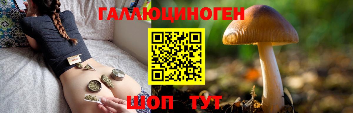 Аргун  Галлюциногенные грибы Cubensis  Вход с VPN  Галлюциногенные грибы Magic Shrooms 