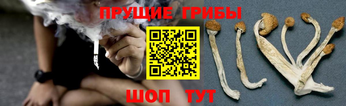 Псилоцибиновые грибы мухоморы Аргун